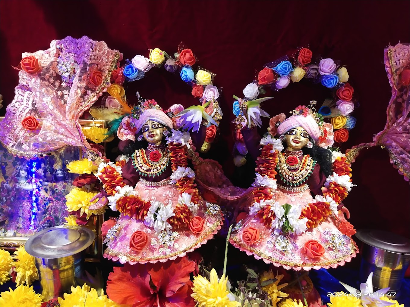Image 3
